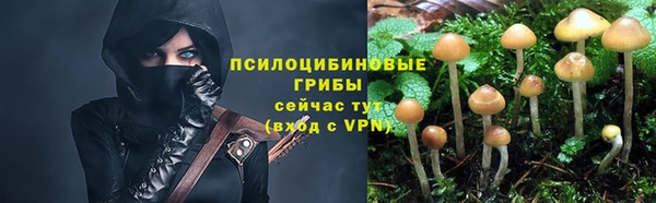 дмт Абинск