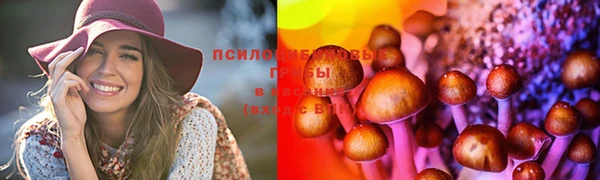 дмт Абинск