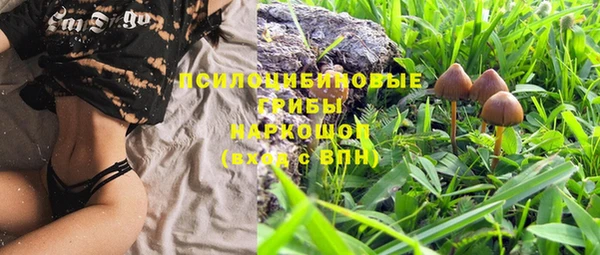 дмт Абинск