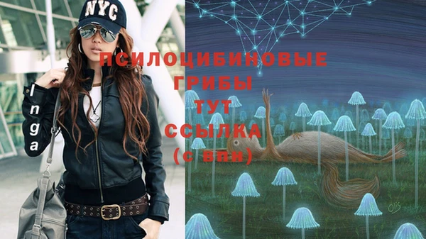 дурь Абаза